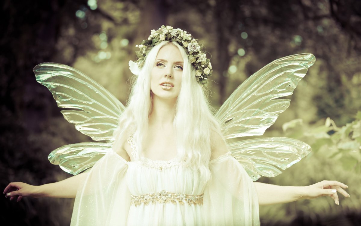 Феи и эльфы