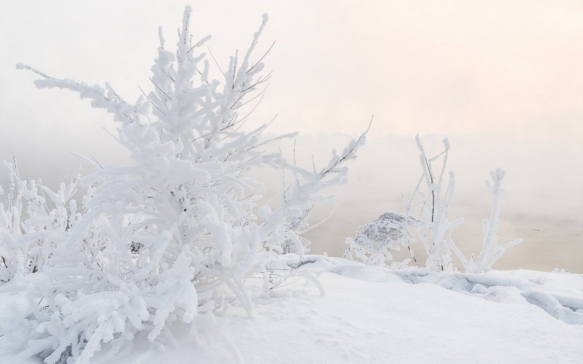 Природные явления для детей иней