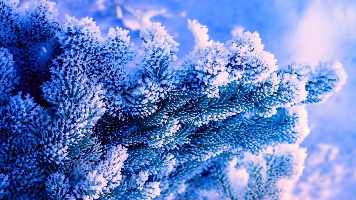 Снег для фотошопа