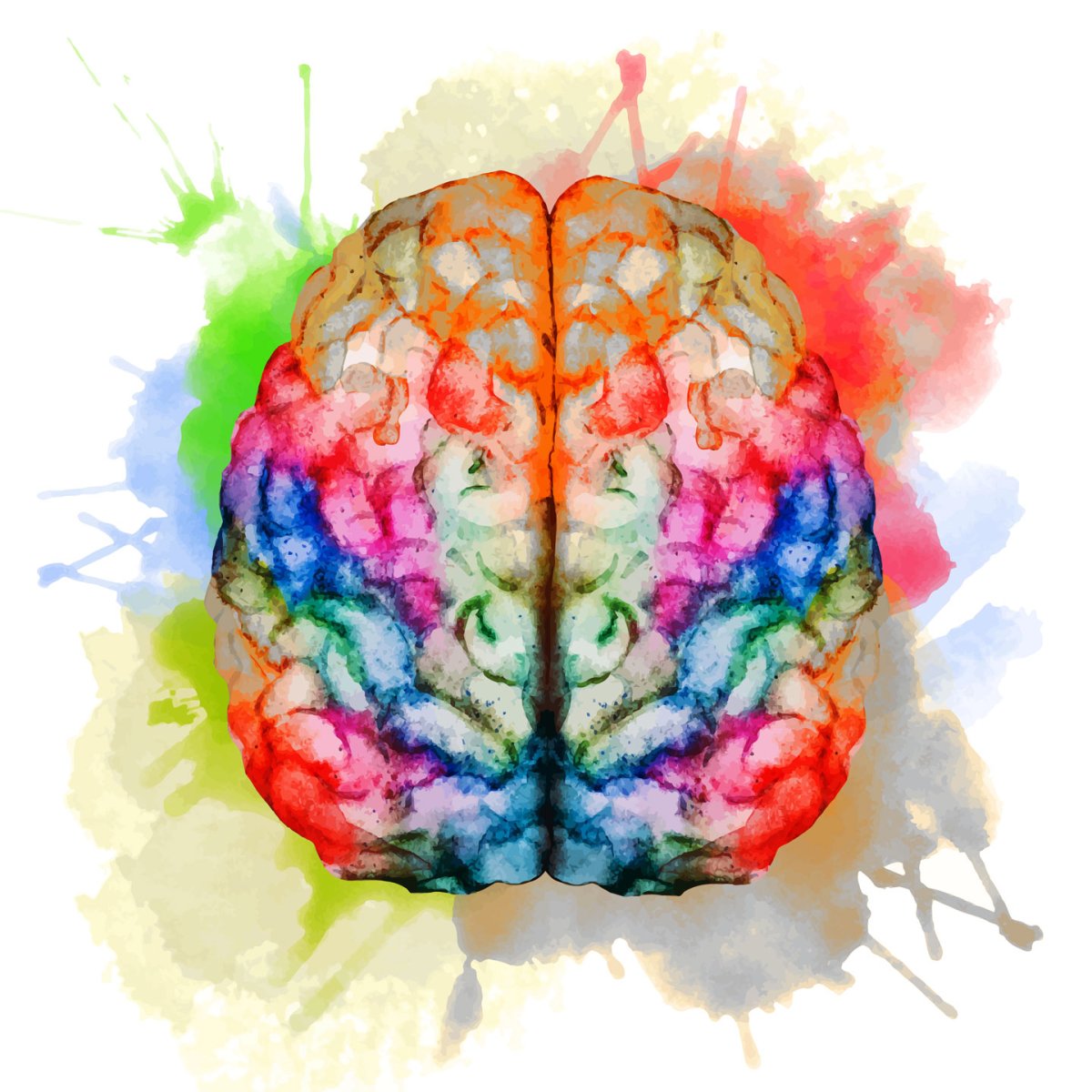 Разноцветный мозг