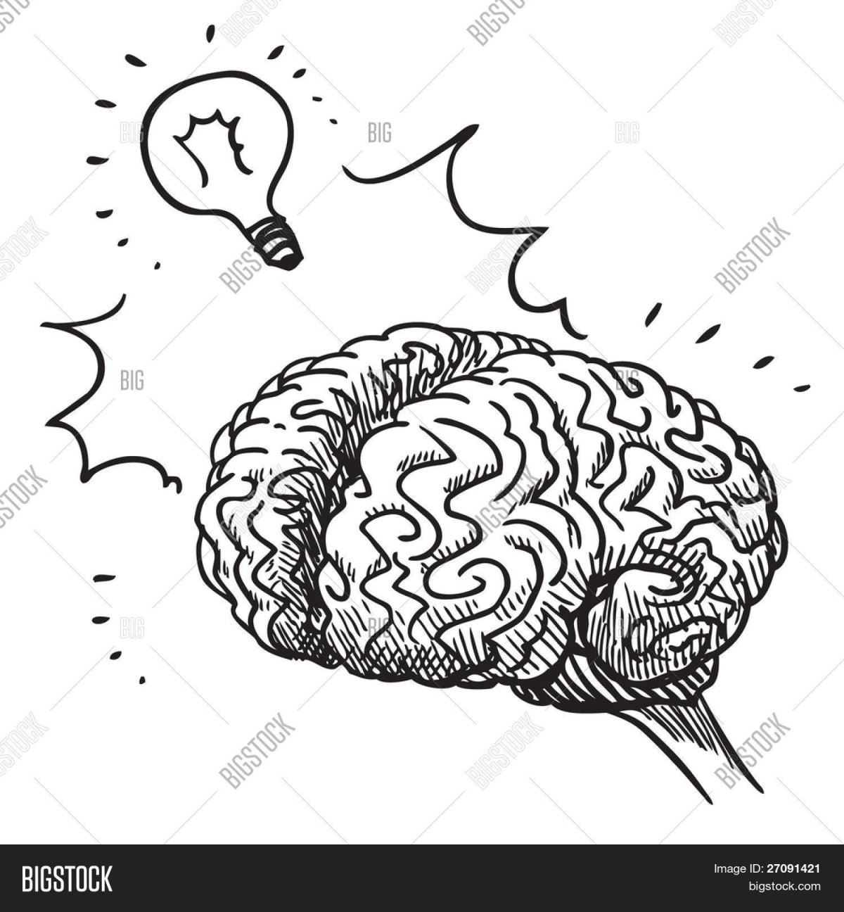 Мозг человека Графика