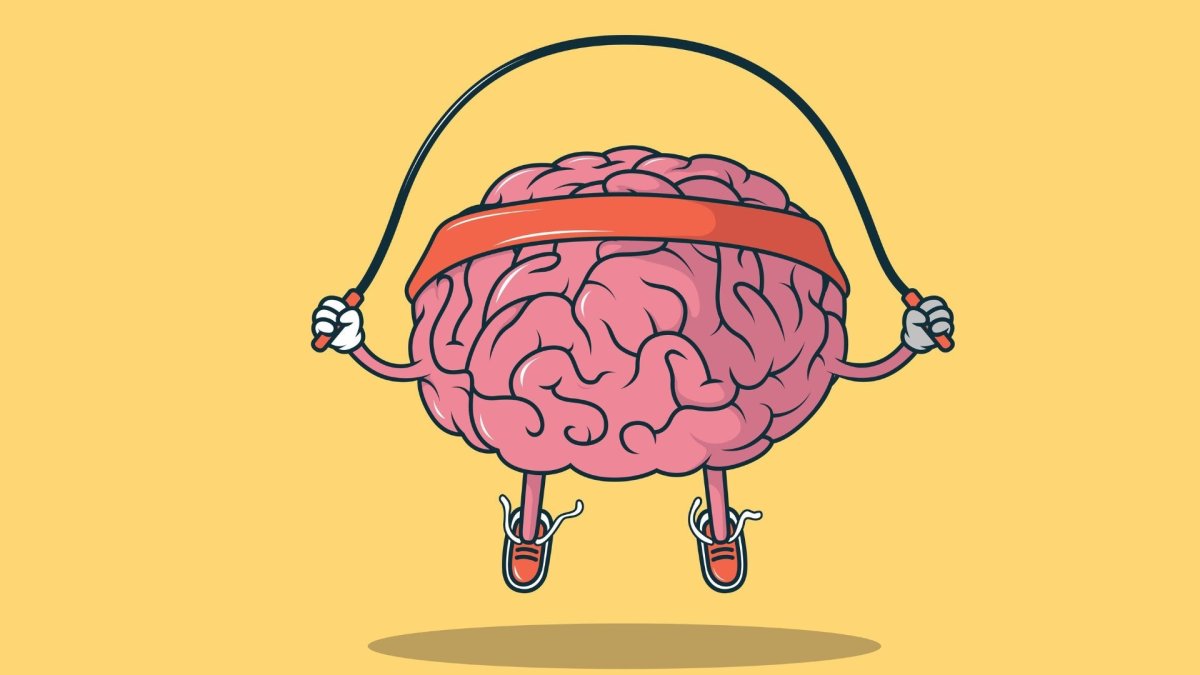 Мозг тренируется