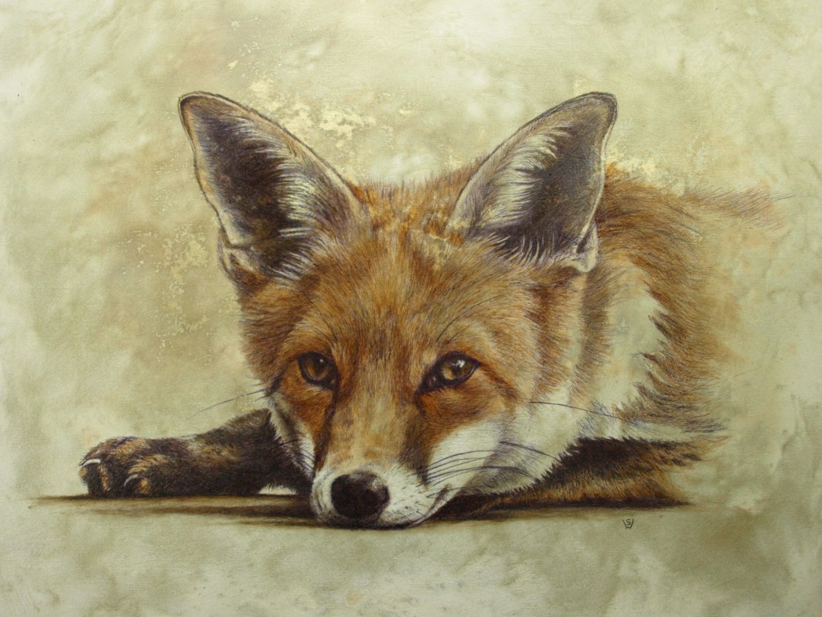 Лиса со слезами