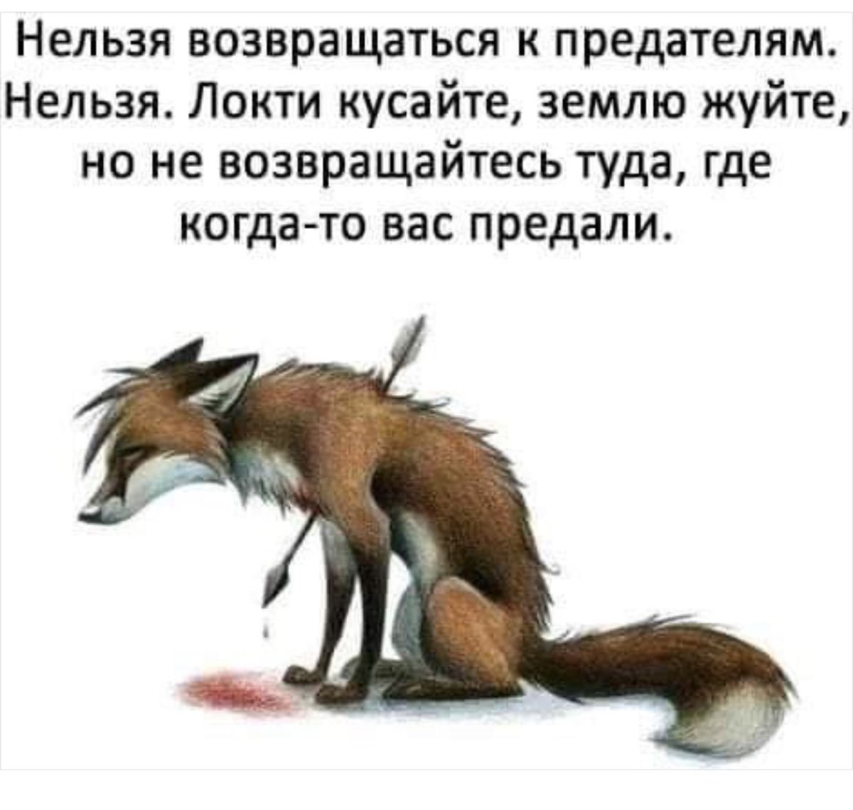 Усталый Лис