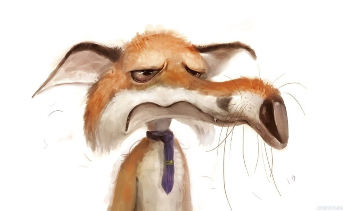 Culpeo Fox любовь