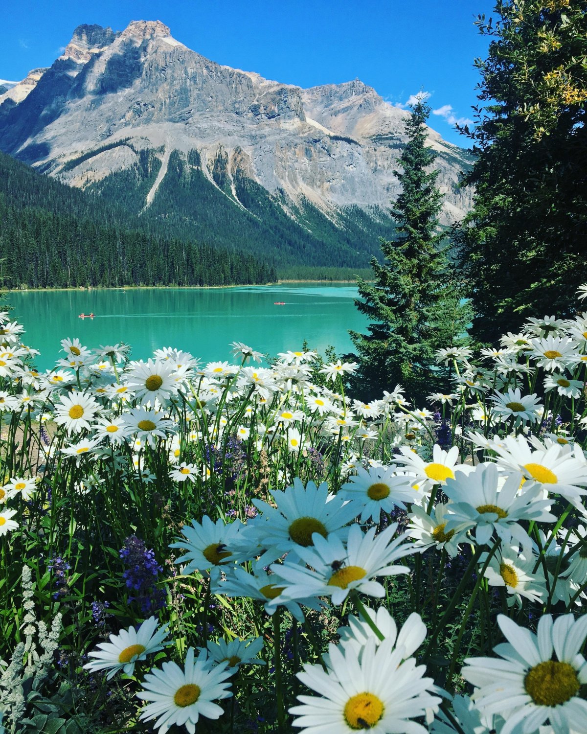 Красота природы