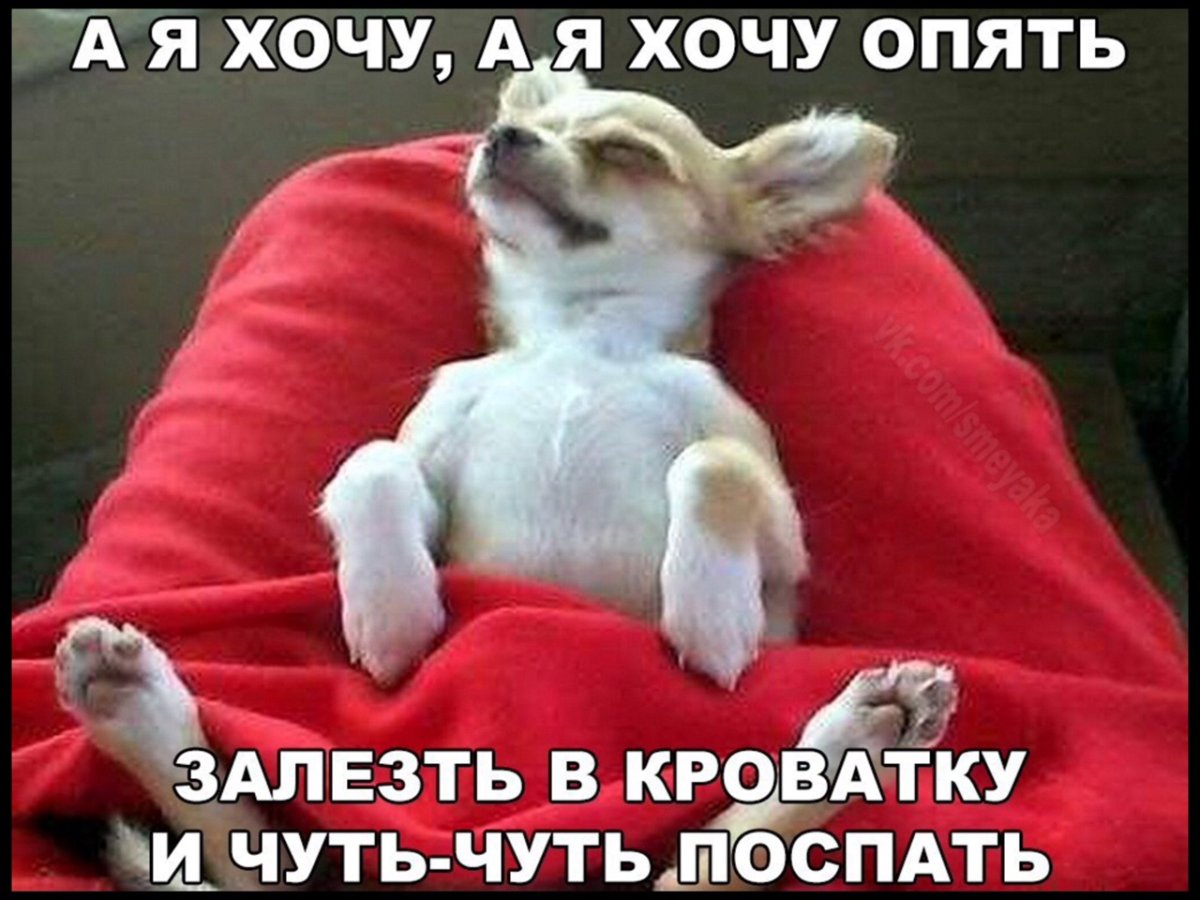 Выспаться в отпуске