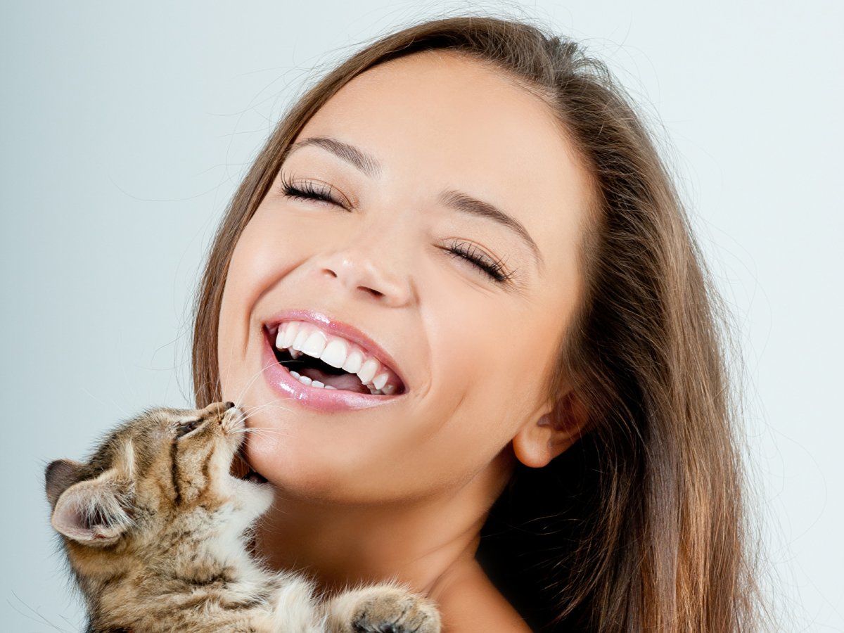 Счастливый котенок Мем