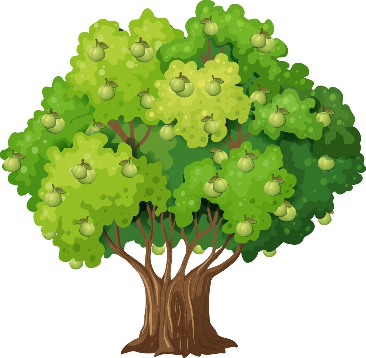 Дерево рисунок