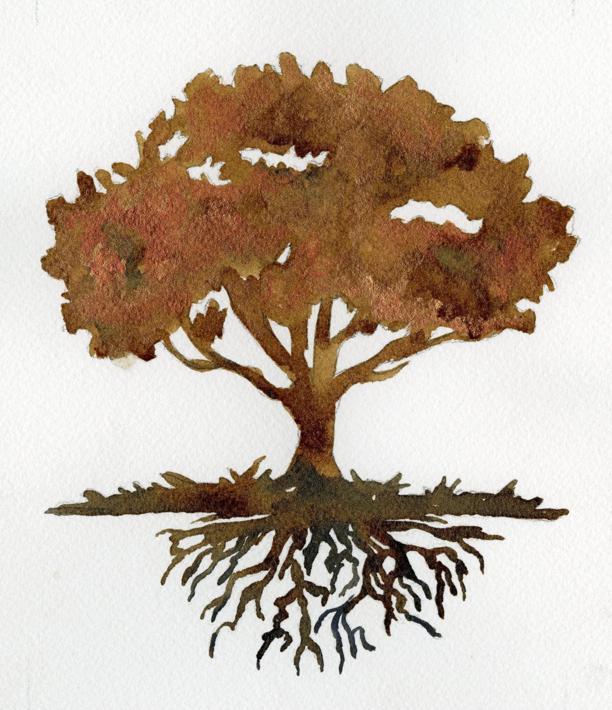 Раскидистый дуб акварелью