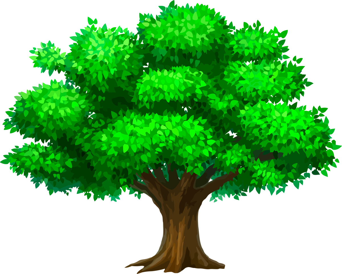 Сказочный дуб