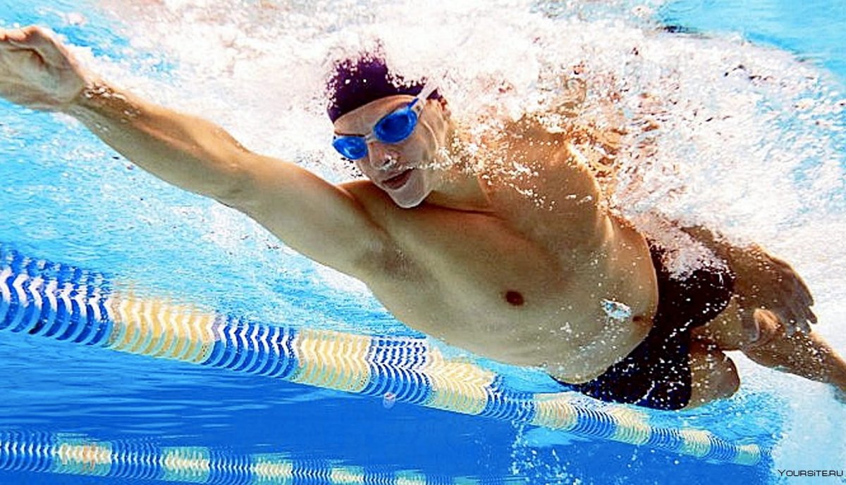 Виды спорта в бассейне