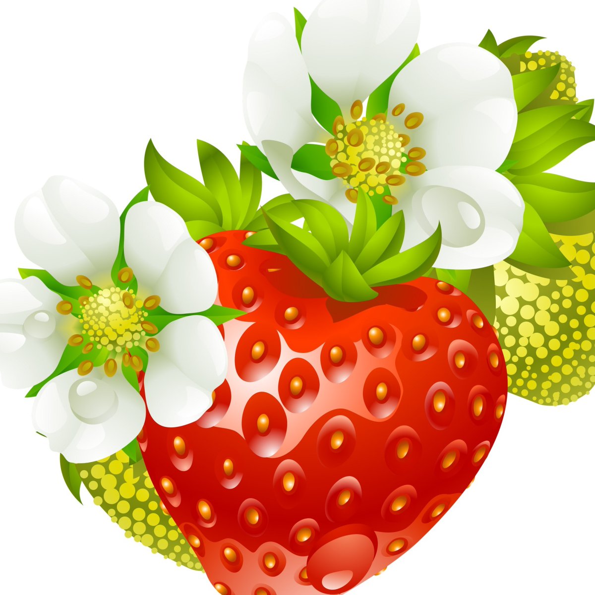 Малина 1 ягода