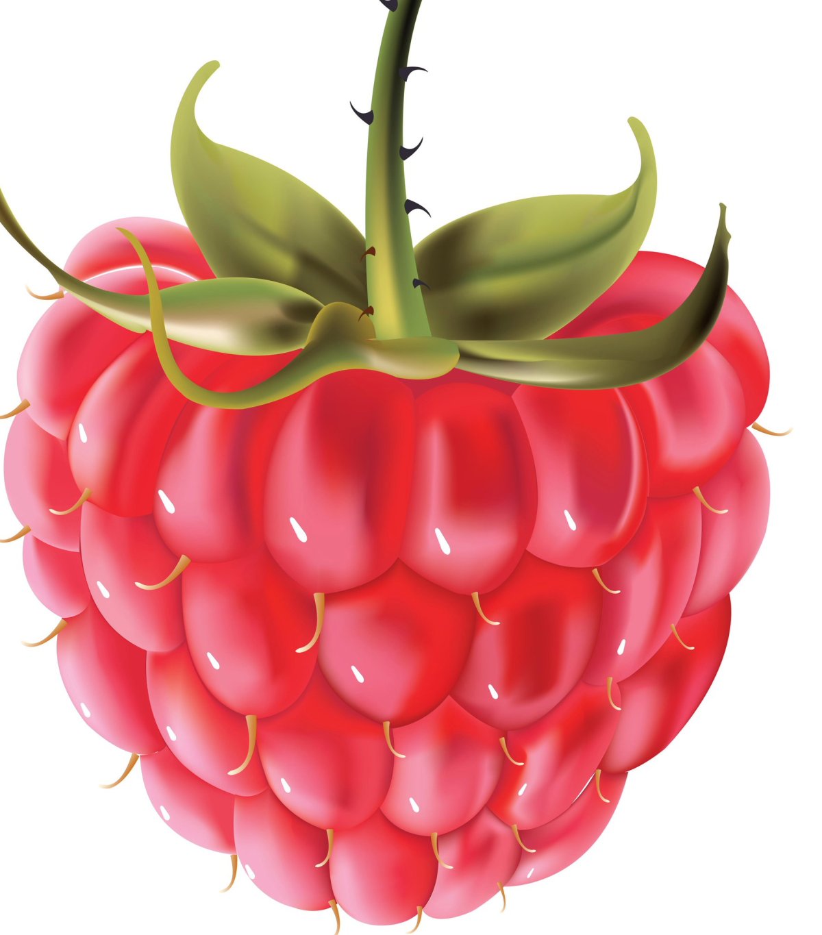 Ягодки мультяшки