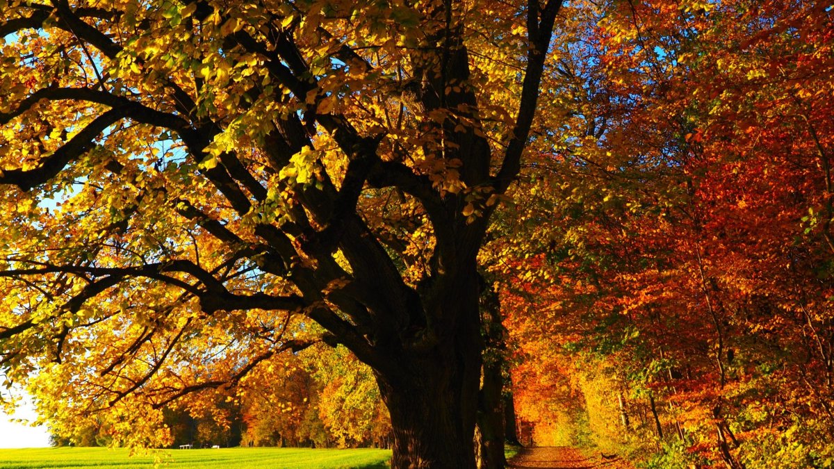 Сергей листопад