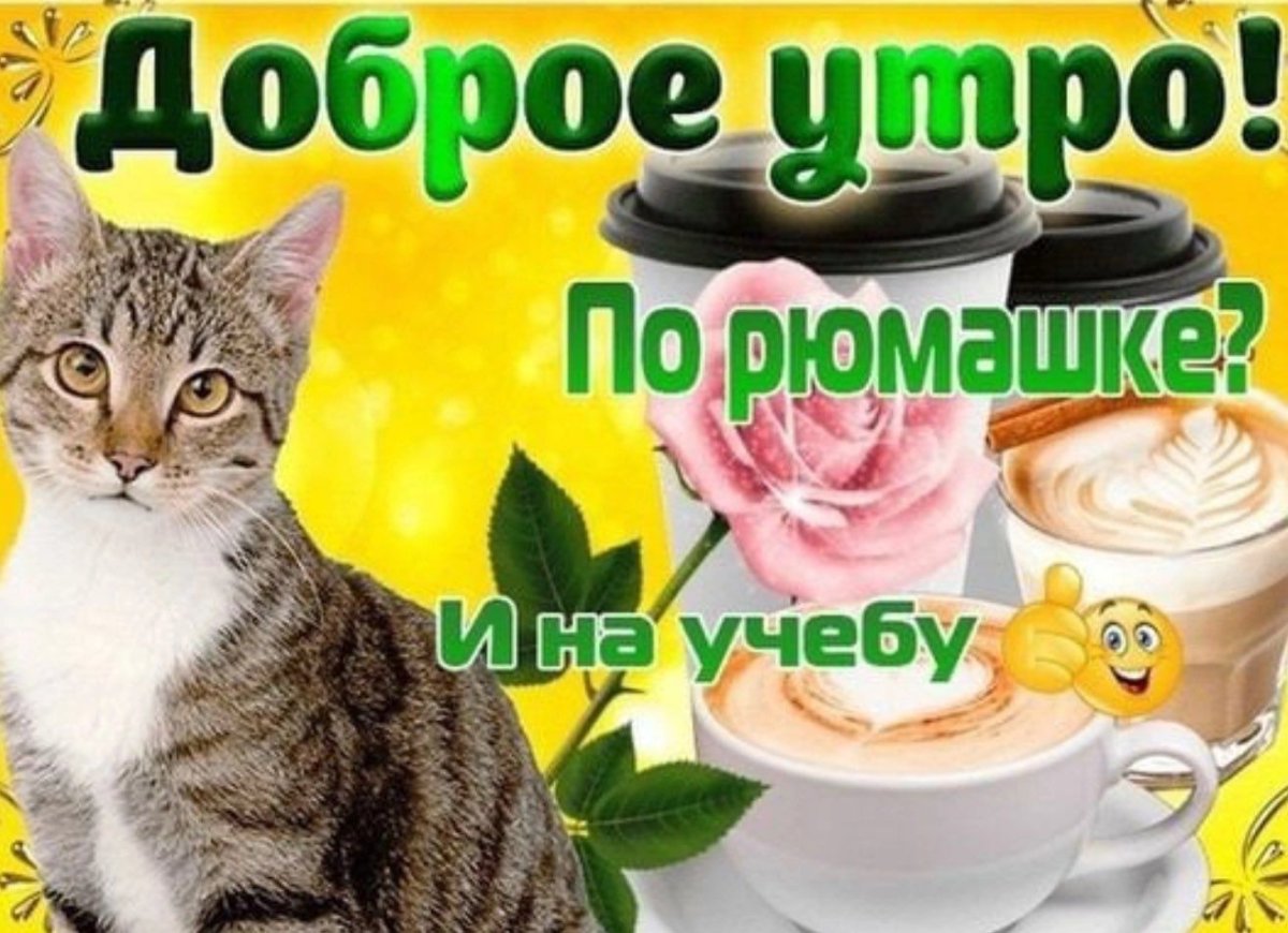 Доброе утро любимые друзья
