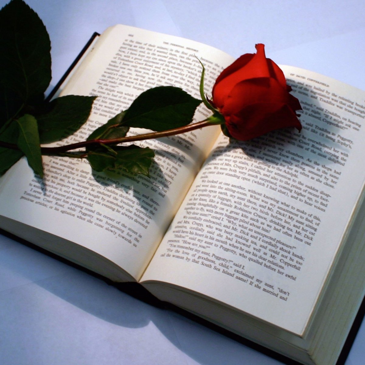 Всемирный день писателя в библиотеке