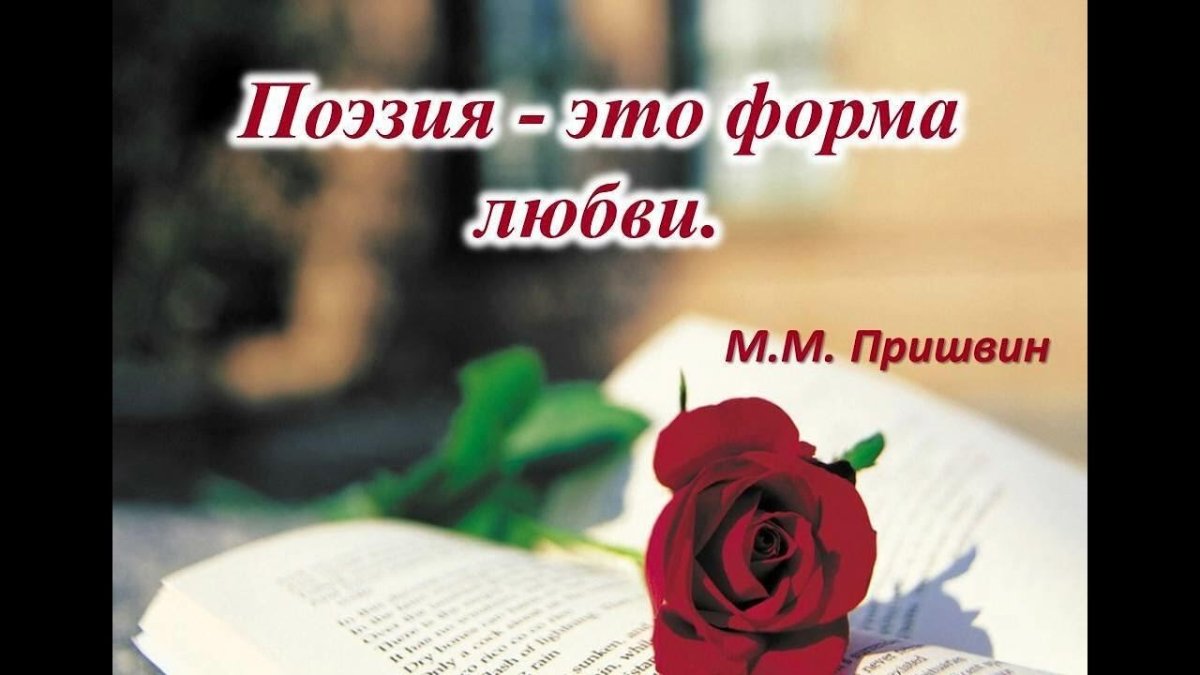 День поэзии