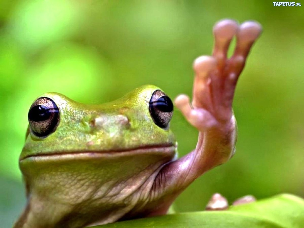 Карточки с надписями