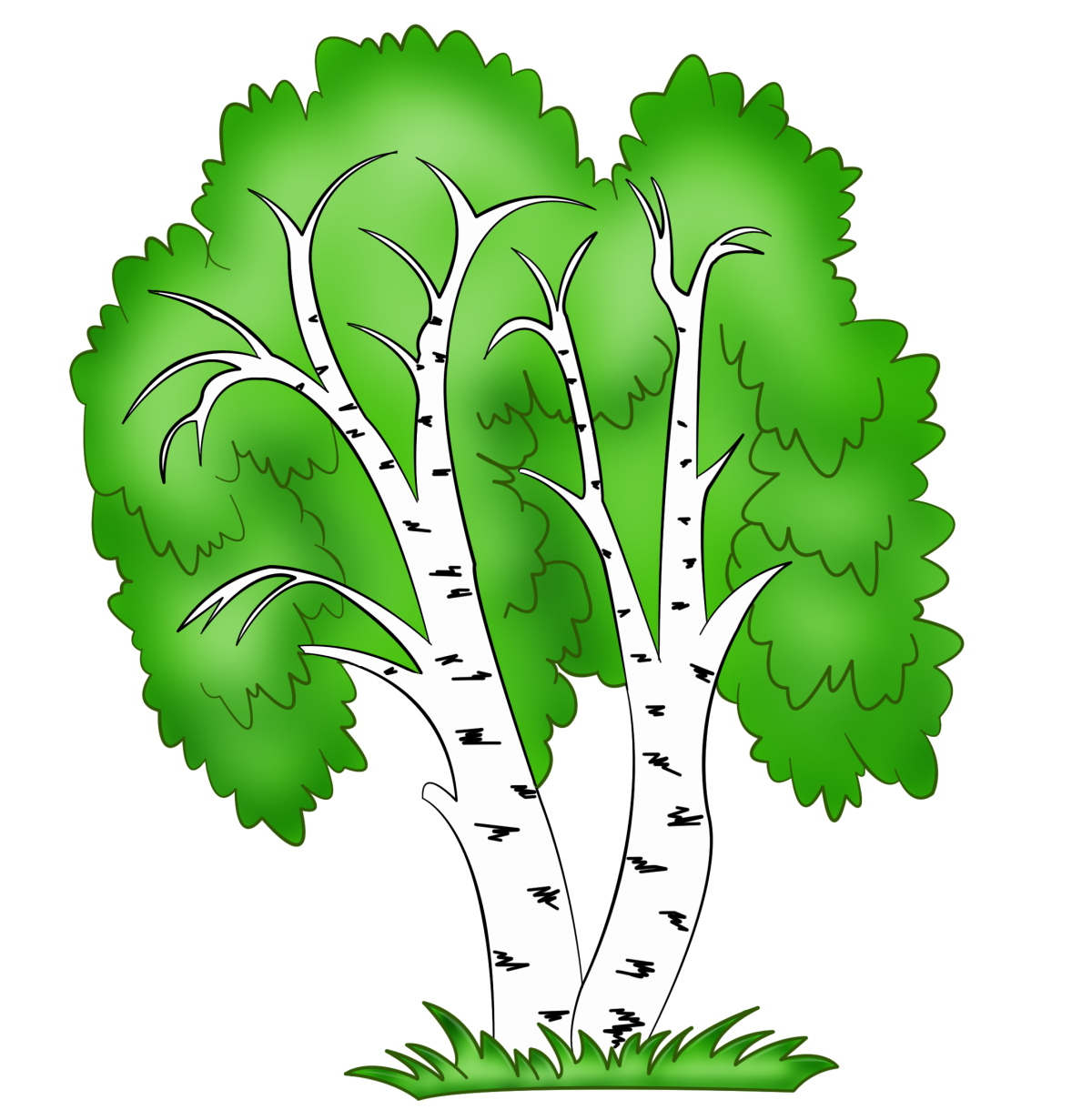 Ствол березы вектор