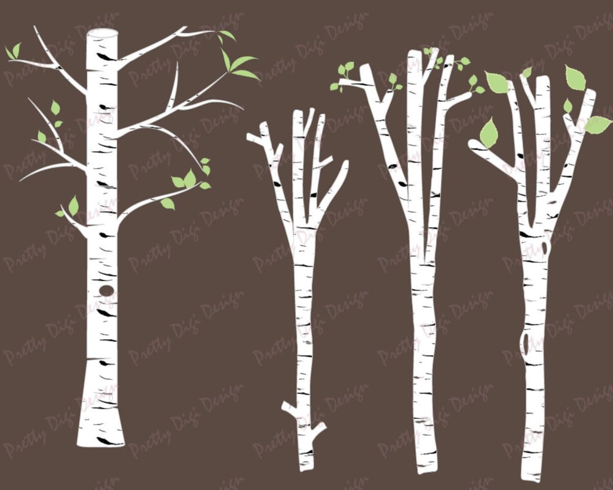 Пейзаж с березами карандашом