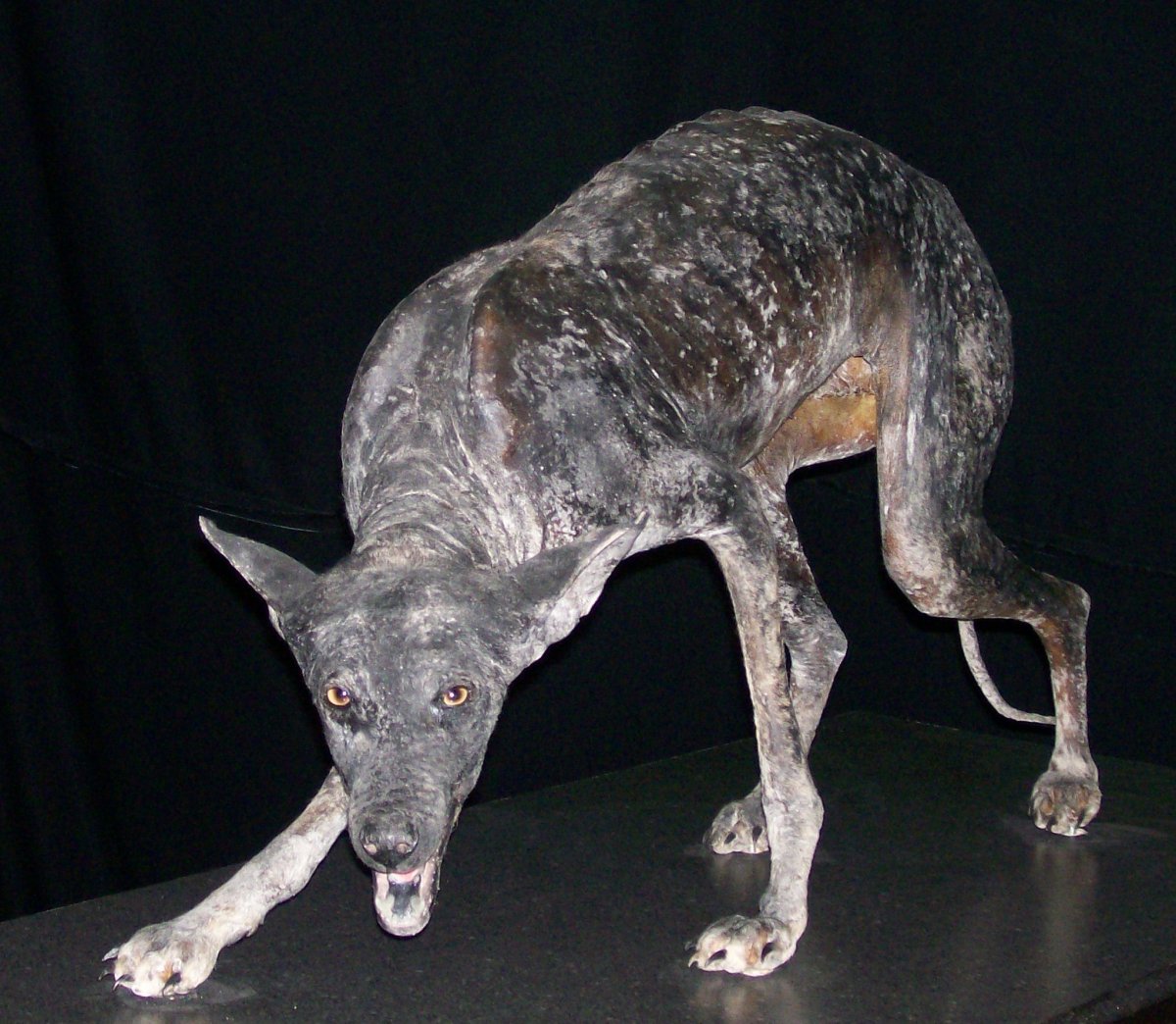 Нетопырь вампир монстр