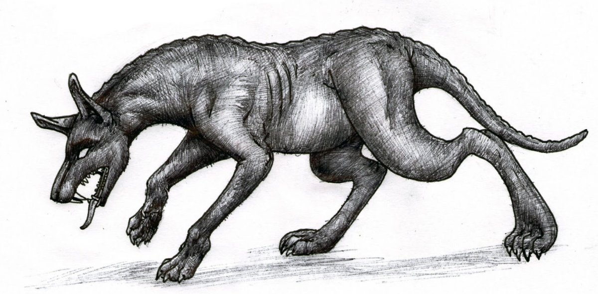 Интересные существа