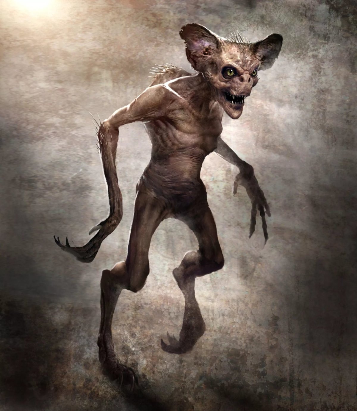 Голландская овчарка Квазимодо