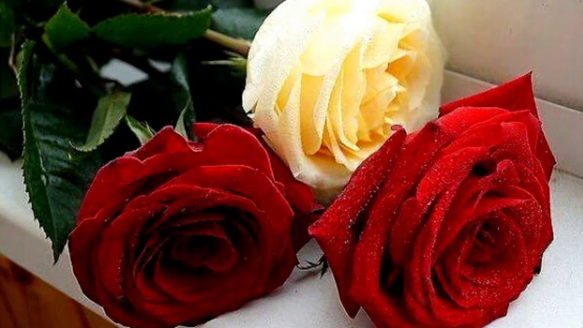 Открытка благодарю от души