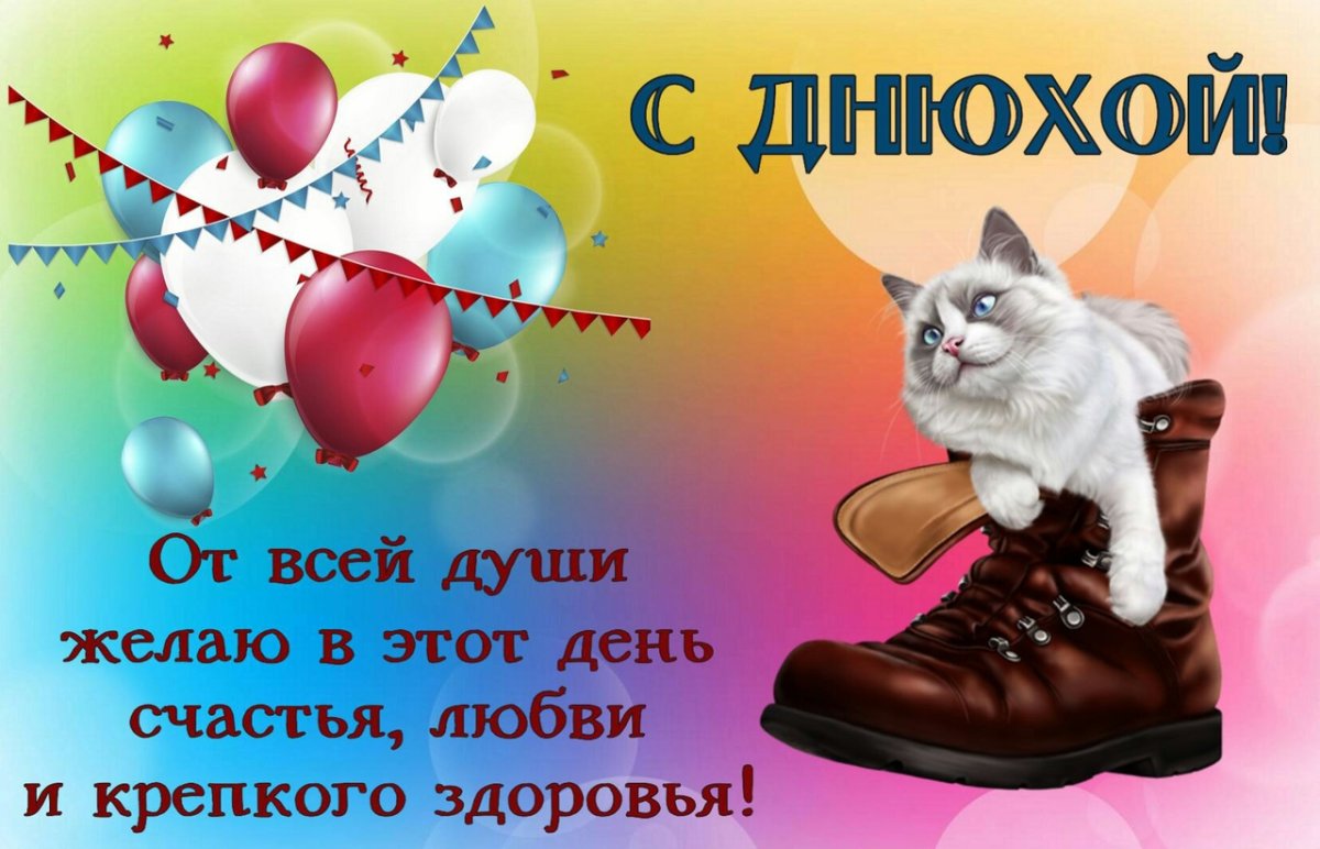 С лнем рожления, Никола