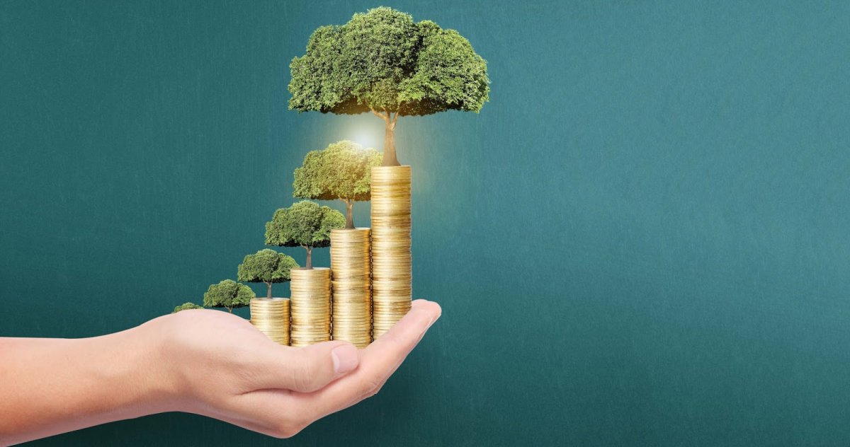 Дом машина деньги