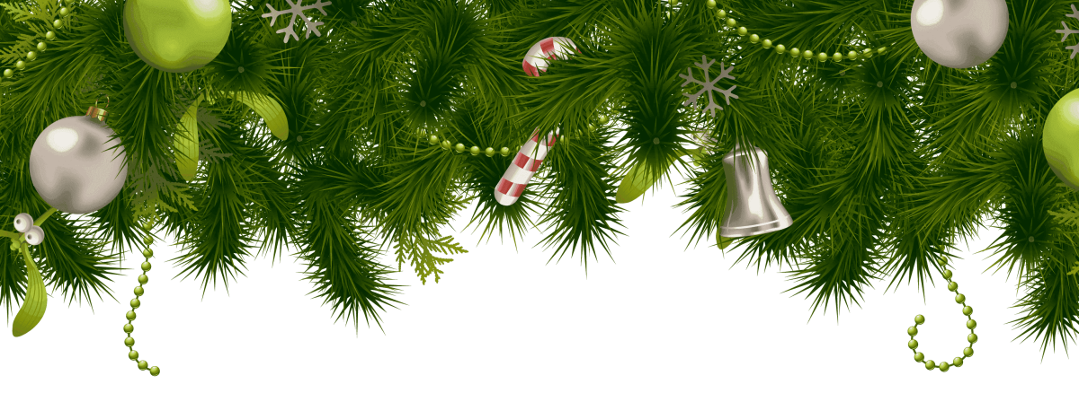 Еловая ветка в снегу на прозрачном фоне