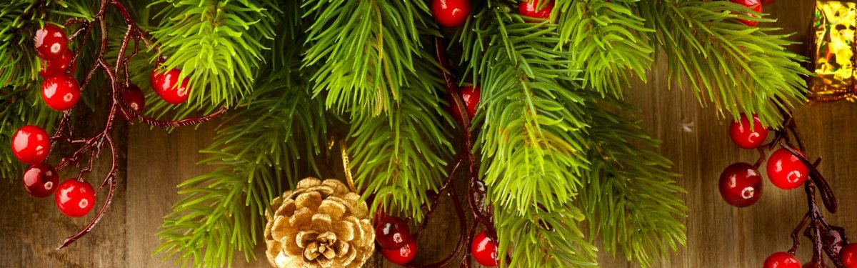 Хвойный фон