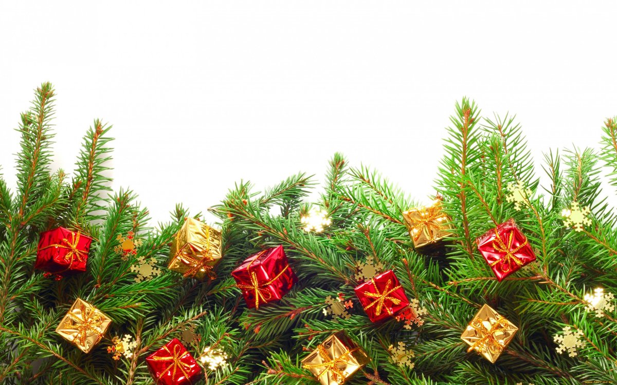 Новогодние еловые ветки