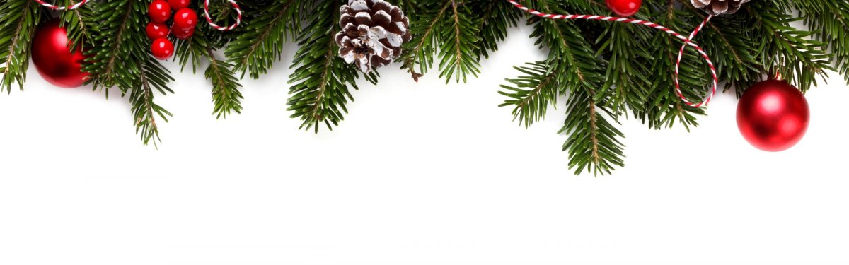 Ветка Еловая