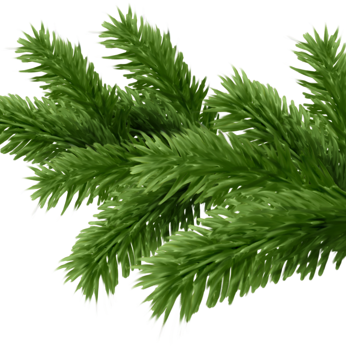 Новогодняя ветка