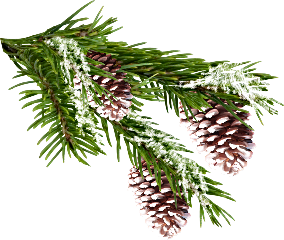 Искусственная ветка ели