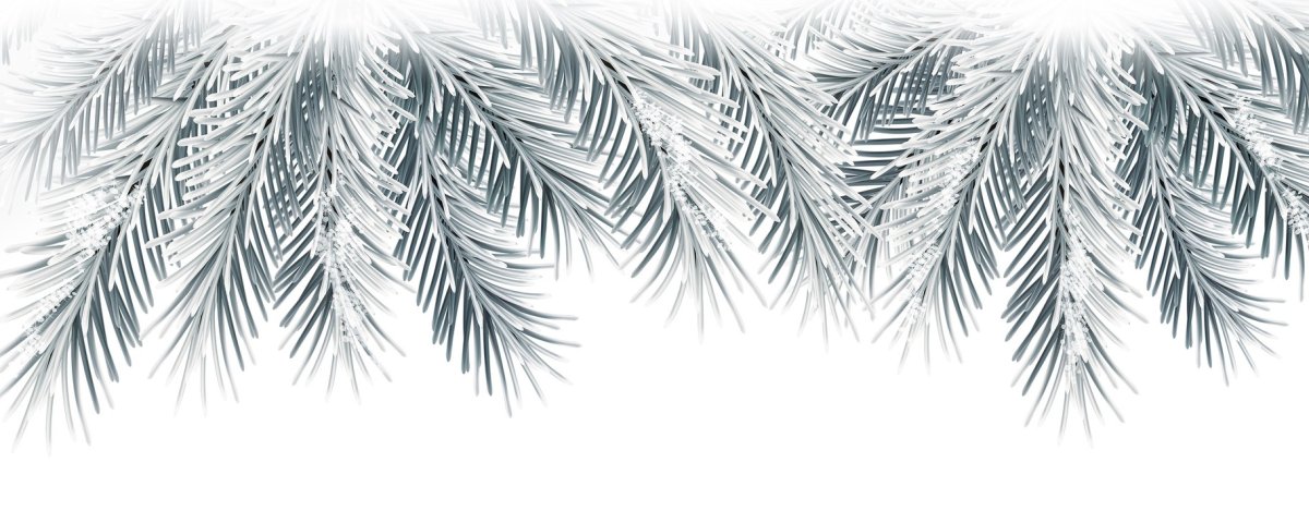 Еловые ветки в снегу вектор