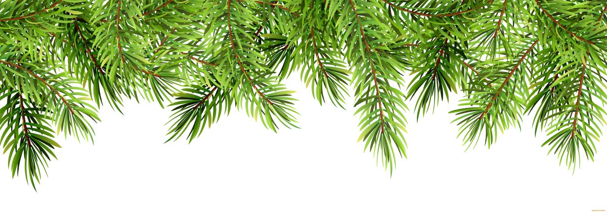 Елка в снегу