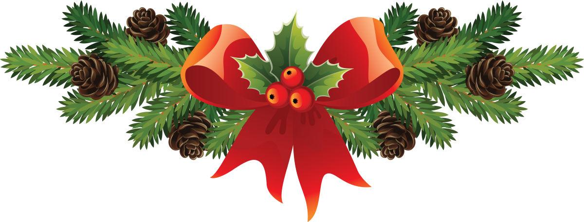 Ветка елки на прозрачном фоне