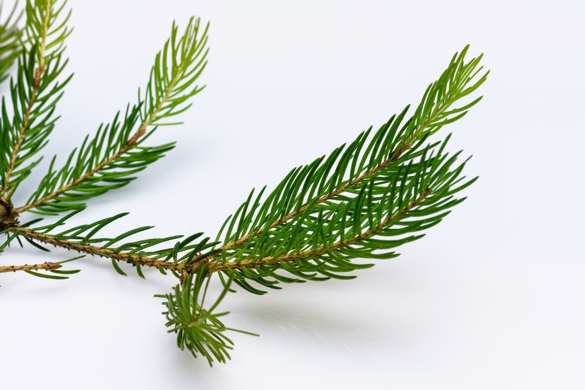 Kaemingk ель Сосновая Иголочка 0.45