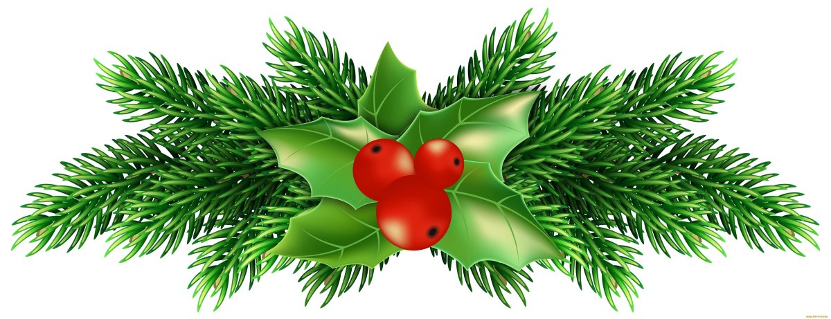 Ветка Еловая