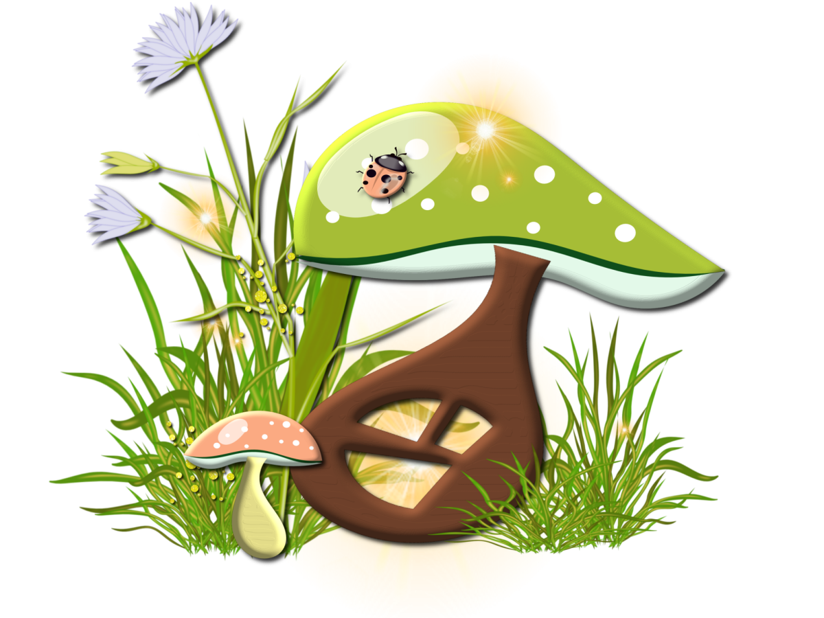 Грибы в траве на прозрачном фоне