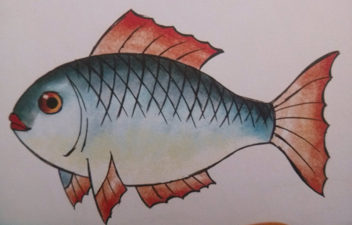 Карась для срисовки