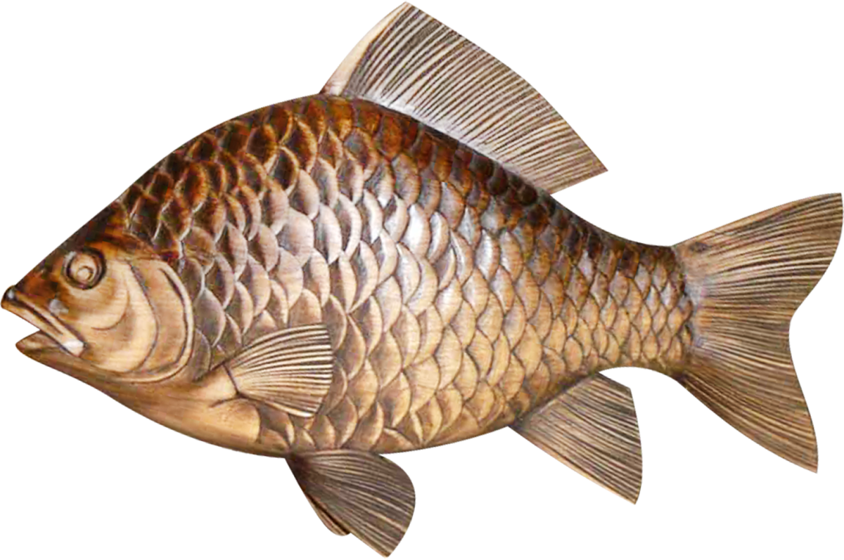 Рыбка на прозрачном фоне