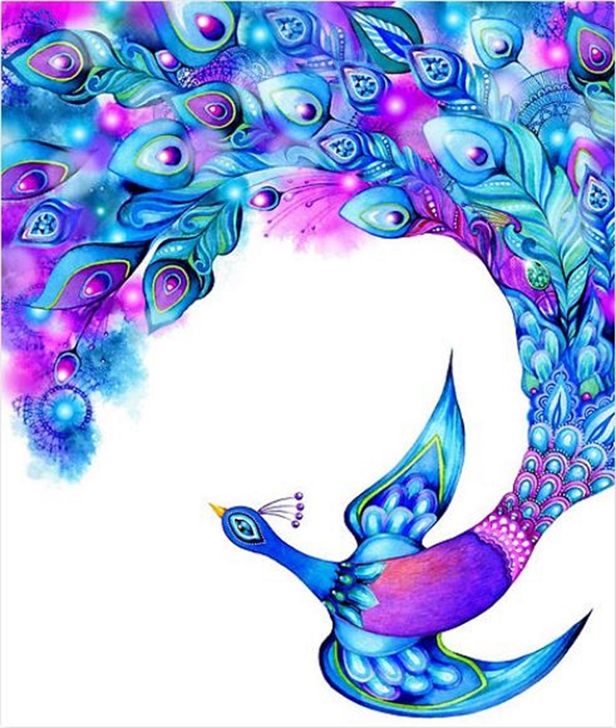 Перо волшебной птицы