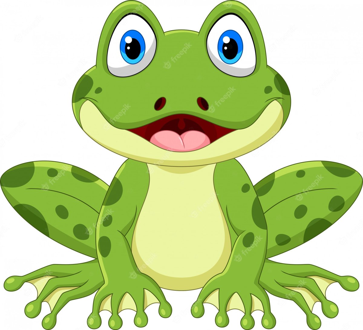 Лягушки на белом фоне мультяшные