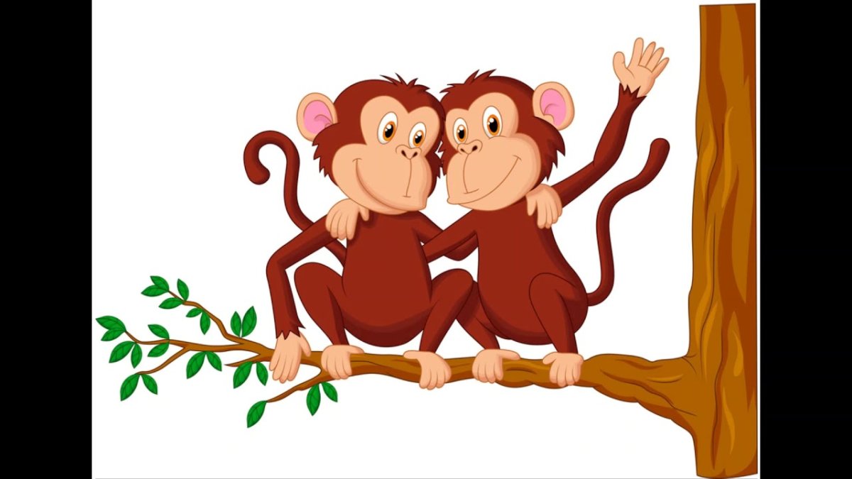 Милые обезьянки