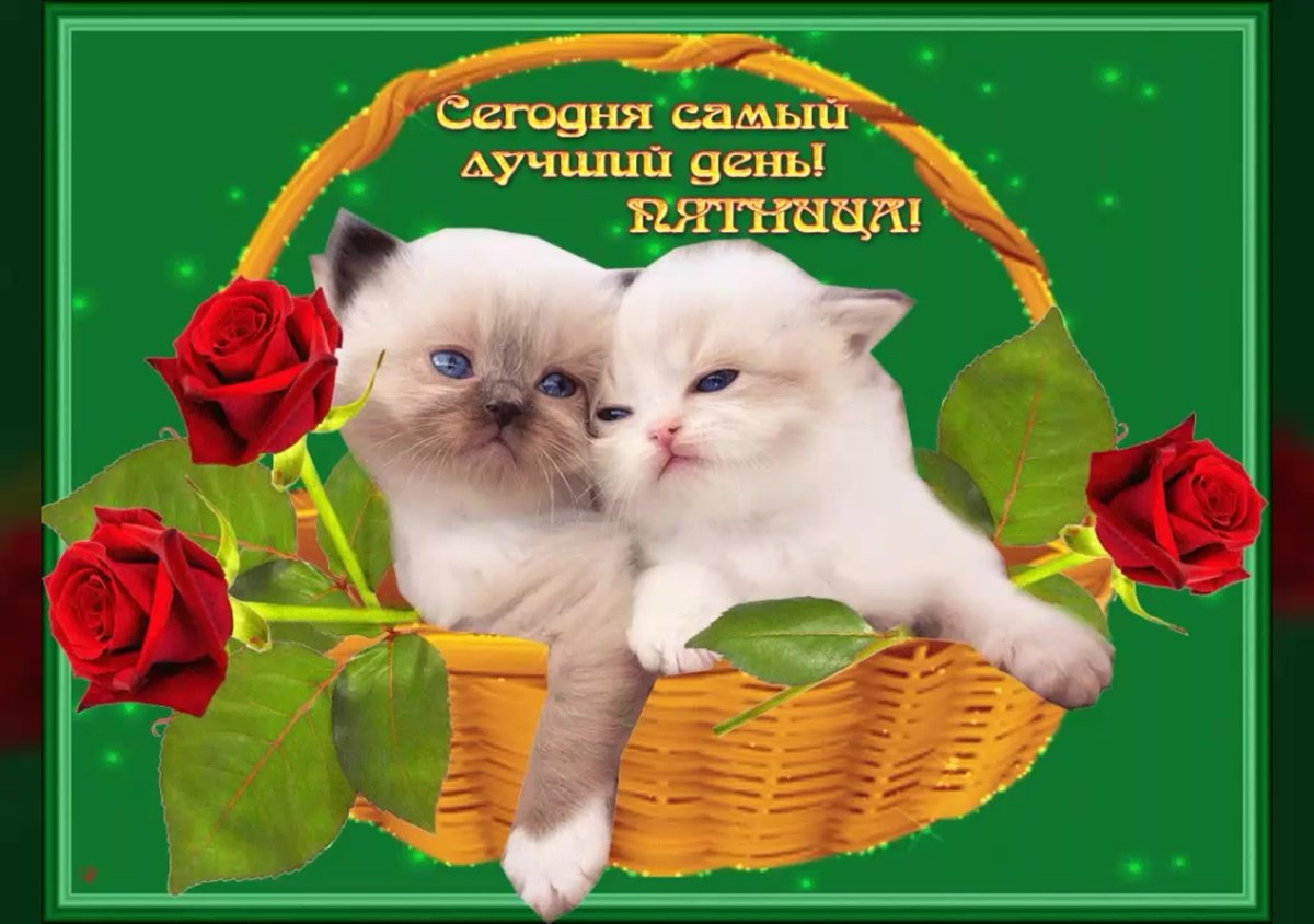 Красивые натюрморты с пожеланиями