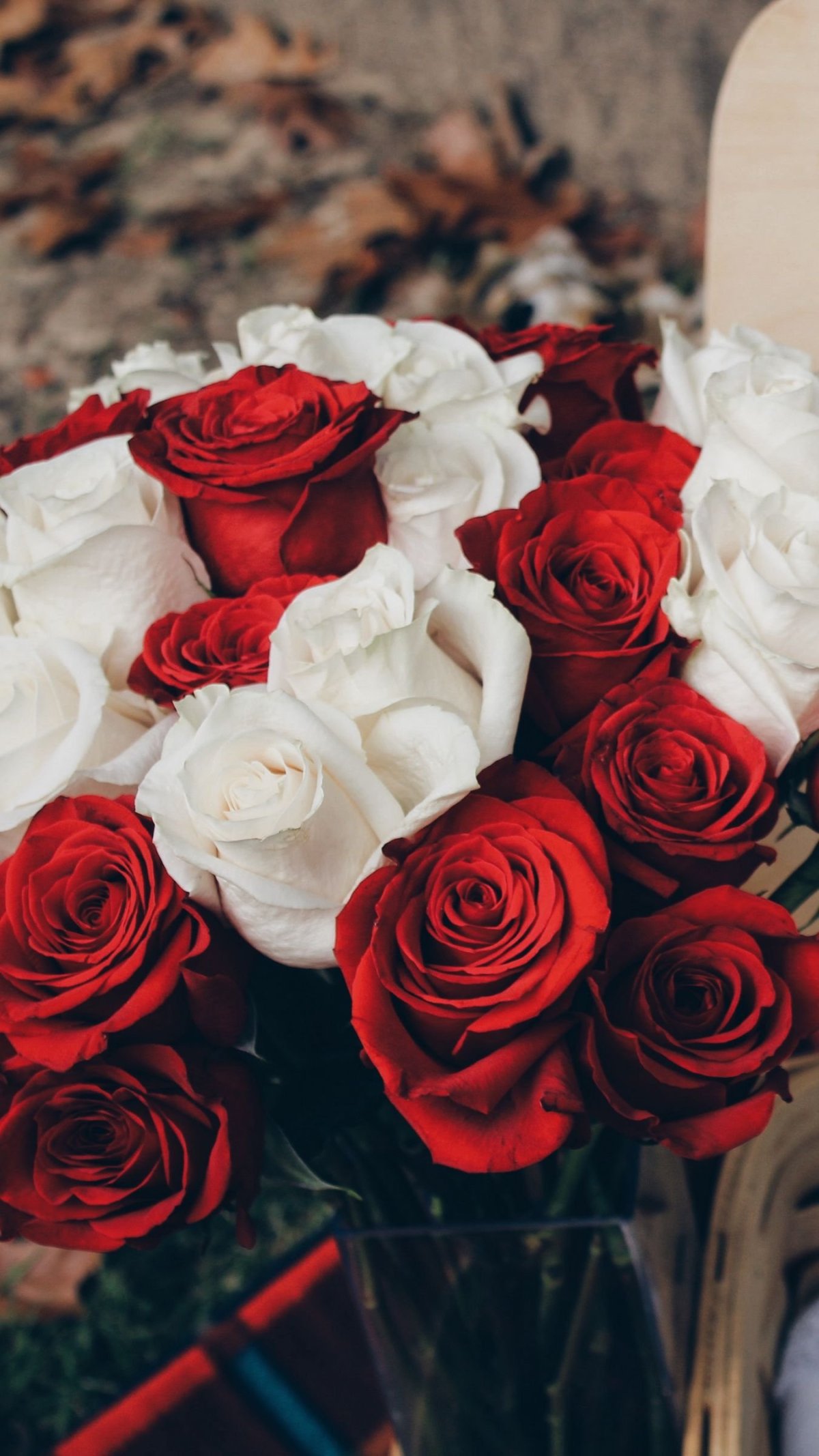 Цветы розы букет